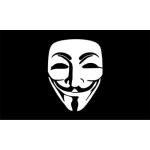 Guy Fawkes Anti- Government 5'x3'