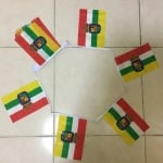6m 20 flag La Rioja bunting