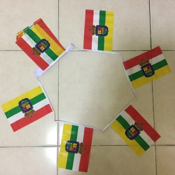 6m 20 flag La Rioja bunting