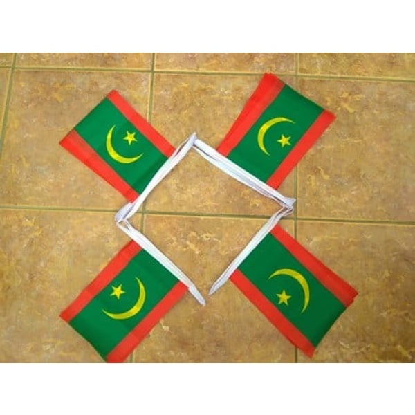 6m 20 flag Mauritania new bunting
