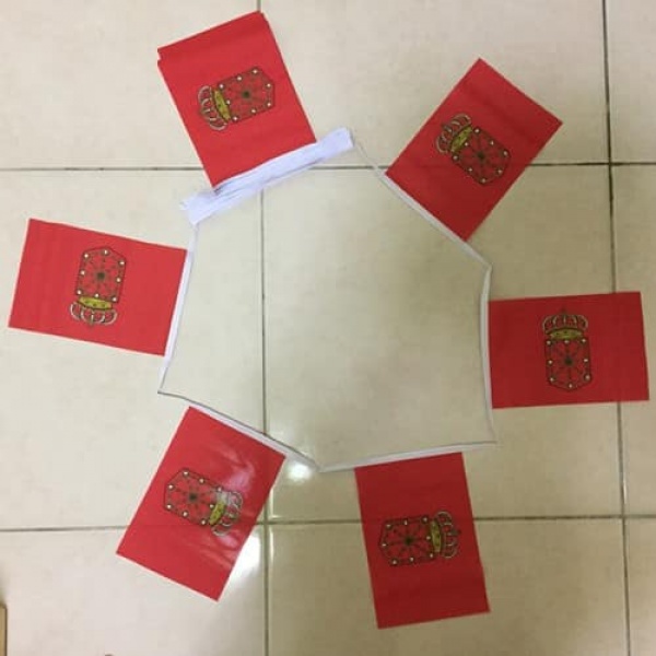 6m 20 flag Navarre bunting