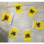 6m 20 flag Nord Pas de Calais bunting