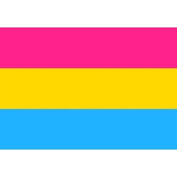 Pansexual (gay pride) medium table flag