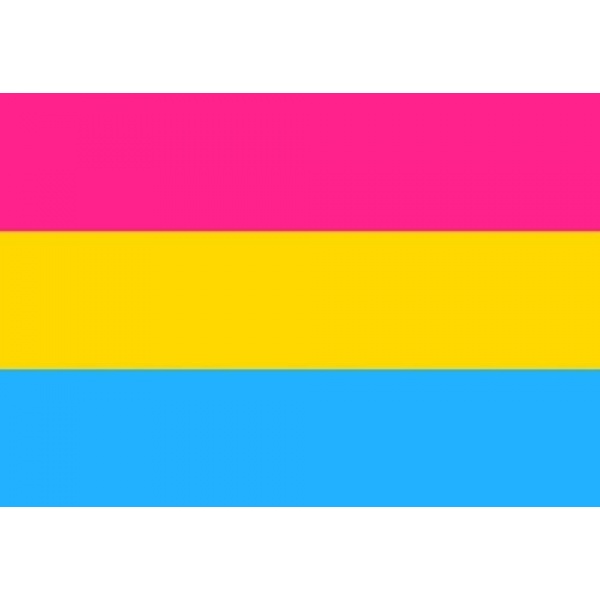Pansexual (Gay Pride) hand flag
