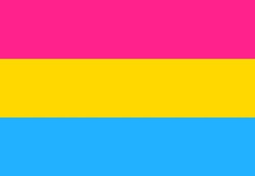 Pansexual9 Pansexual (Gay Pride) hand flag - Image 1