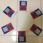 6m-20-Flag-Pays de la loire bunting