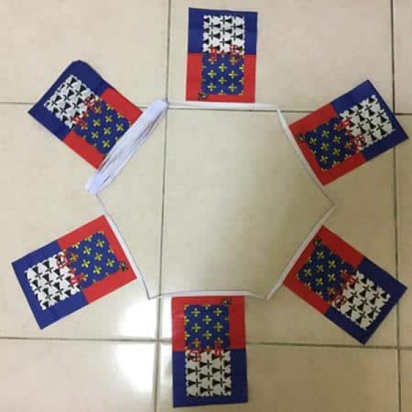 6m-20-Flag-Pays de la loire bunting