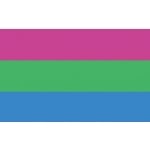 Polysexual 5'x3' (Gay Pride)
