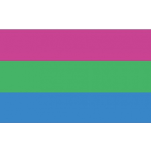 Polysexual 5'x3' (Gay Pride)