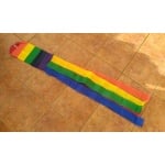 Rainbow Windsock