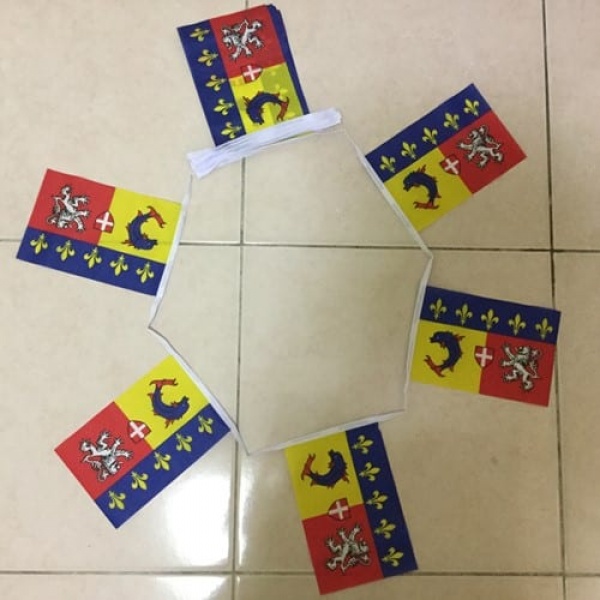 6m 20 flag Rhone Alpes bunting