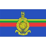 Royal Marines medium table flag