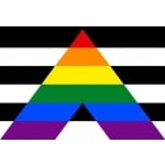 Straight Ally (gay pride) medium hand flag