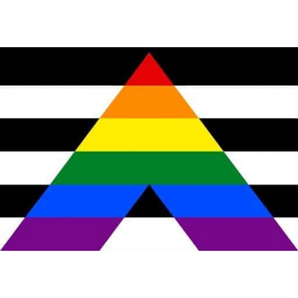Straight Ally (gay pride) medium table flag