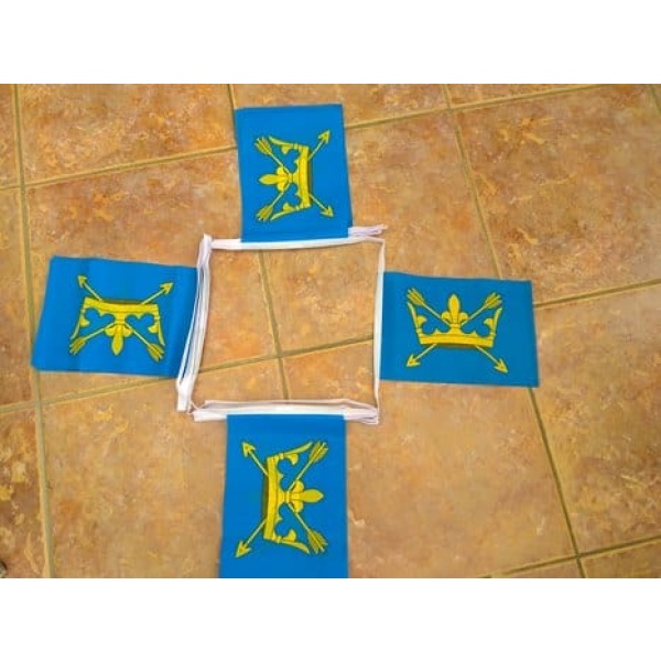 6m 20 flag Suffolk bunting