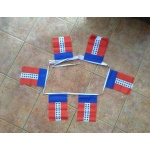 6m 20 flag Tuamotu bunting