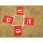 6m 20 flag Warwickshire bunting