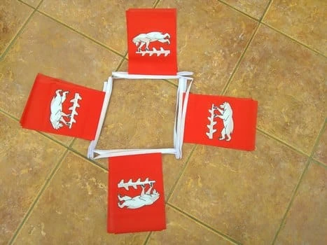 Warwickshire bunting 6m 20 flag Warwickshire bunting - Image 1