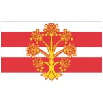 Ireland Shamrock new tri colour 5'x3' - Image 6