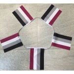 6m 20 flag Asexual (Gay Pride) bunting