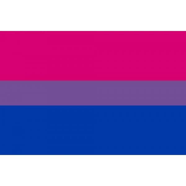 Bi-Pride (Gay Pride) medium table flag