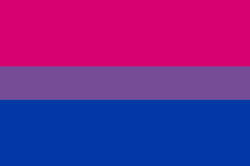 bi pride hand flag -(4ddf623b54dc55) bi pride hand flag