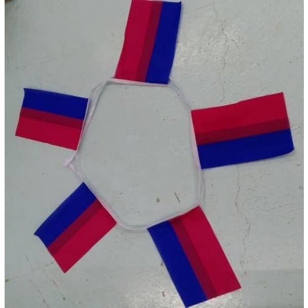 6m 20 flag Bi-Pride bunting