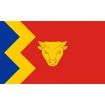 Birmingham Large Hand Flag