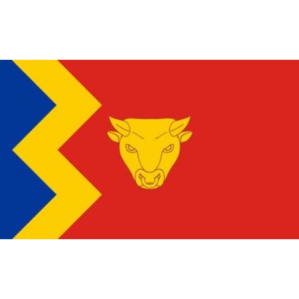 Birmingham Large Hand Flag
