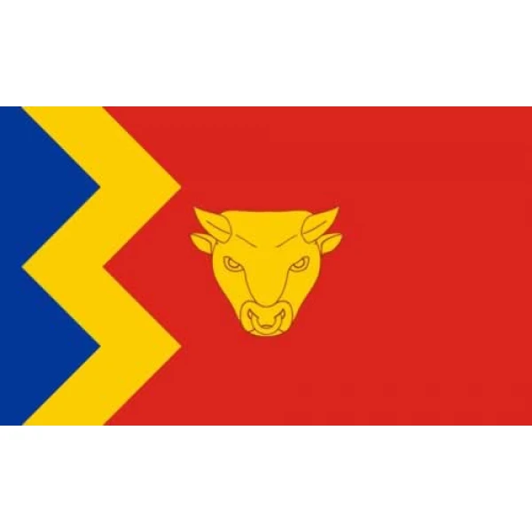 Birmingham Large Hand Flag