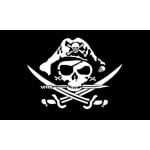 black skull cross sabres hand flag