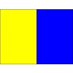 blue yellow vertical stripe flag