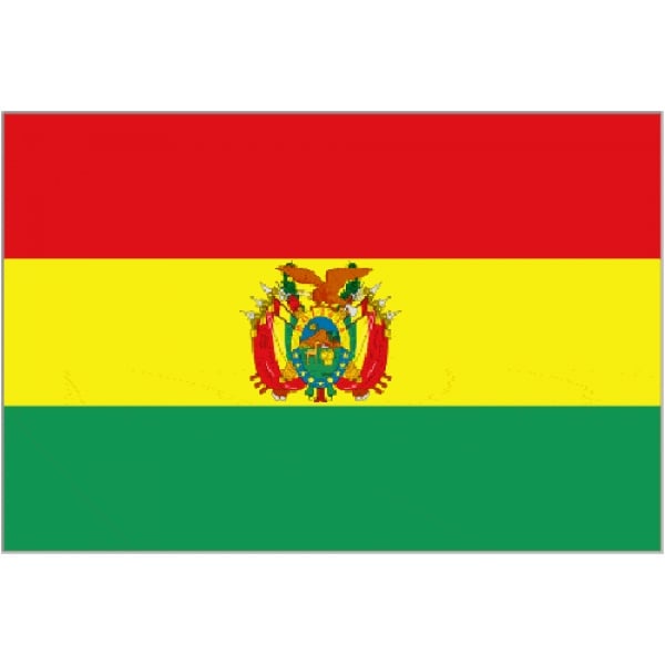 Bolivia large hand flag