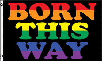 born-this-way-g-53870ec7b7d55 Born This Way (Gay Pride) medium table flag - Image 1