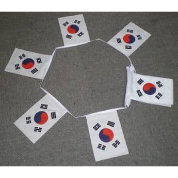 6m 20 flag South Korea bunting
