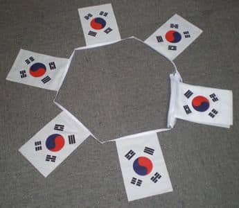 OLYMPUS DIGITAL CAMERA 6m 20 flag South Korea bunting - Image 1