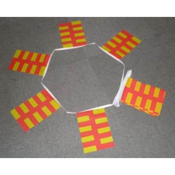 6m 20 flag Northumberland bunting