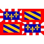 Burgundy hand flag