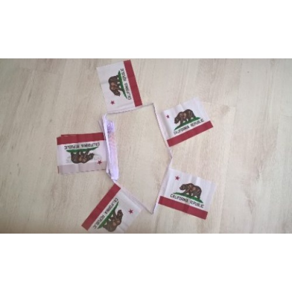 6m 20 Flag California Bunting