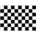 Checkered Black/White 5'x3'