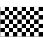 Checkered Black/White medium hand flag