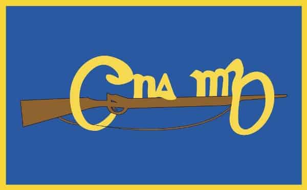cumann-na-mban-555080f0ecd84 Cumann Na Mban hand flag - Image 1