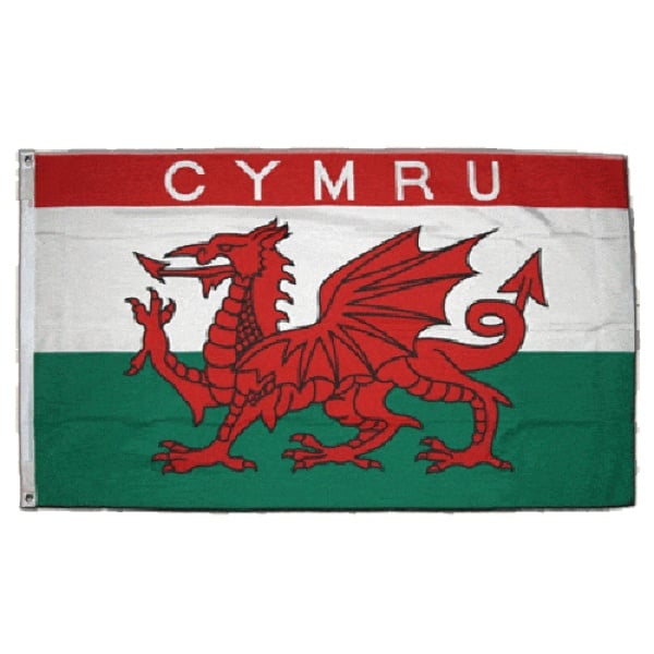 Cymru 5'x3'