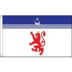Devon Lion 5'x3'