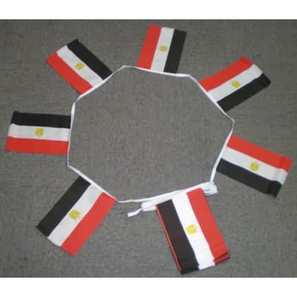 6m 20 flag Egypt bunting