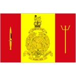 fleet-protection-43 commando