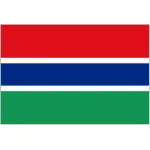 Gambia medium table flag