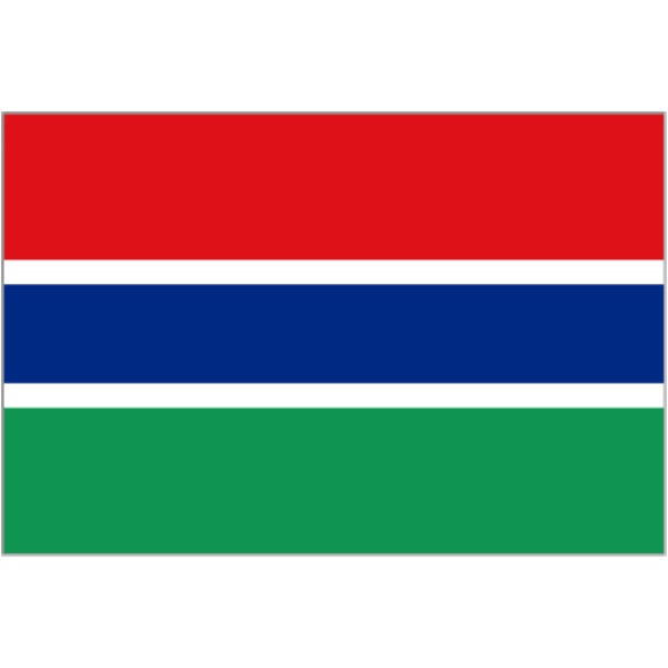 Gambia medium table flag