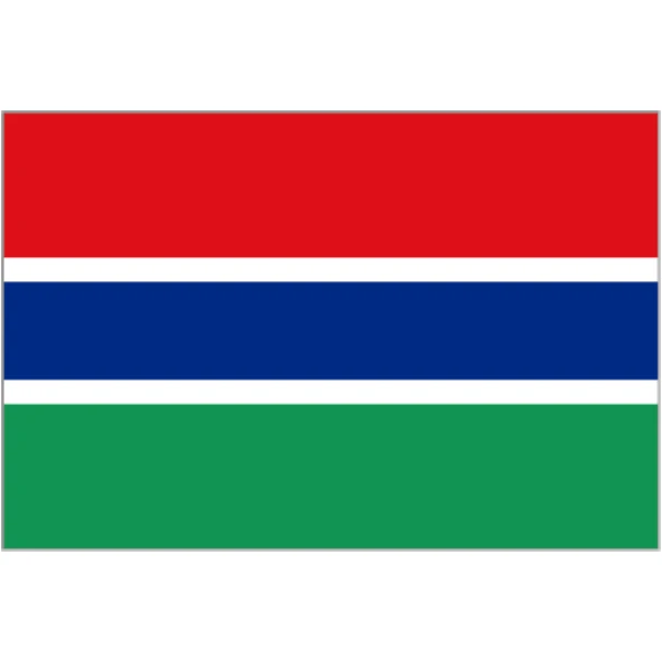 Gambia medium table flag