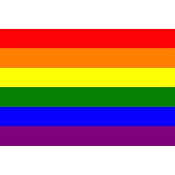 rainbow flag for LGBTQ